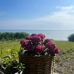 Holiday home Beachfront Summerhouse With Amazing View And Peace *