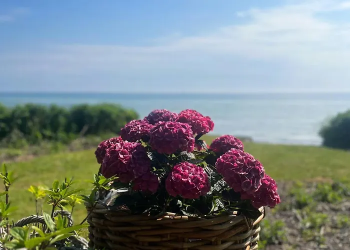 Ferienhaus Beachfront Summerhouse With Amazing View And Peace *